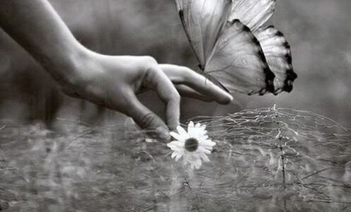 La Humanidad es sagrada