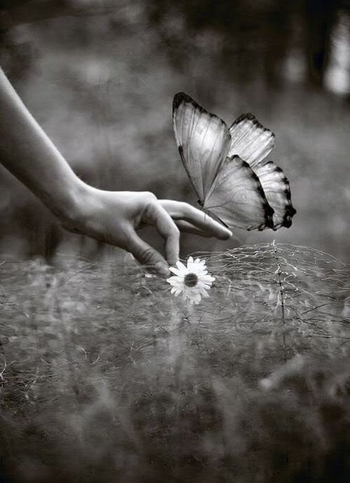 La Humanidad es sagrada