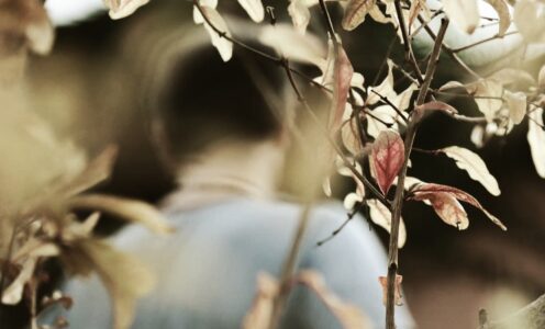 Crecimiento Espiritual y Sanación con Edward en La Gomera